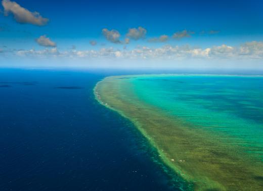 The Great Barrier Reef off the northeast coast of Australia is the world's largest coral reef system.
