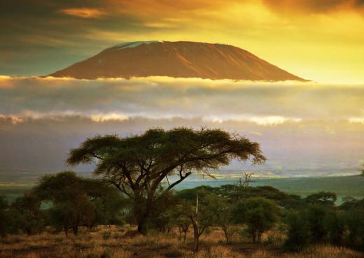 According to the Out-of-Africa theory, humankind is descended from one group that originated near modern-day Tanzania.