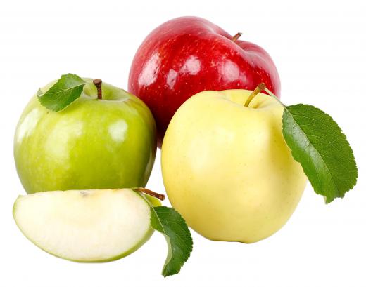 Some pomologists study the breeding and cultivation of apples.