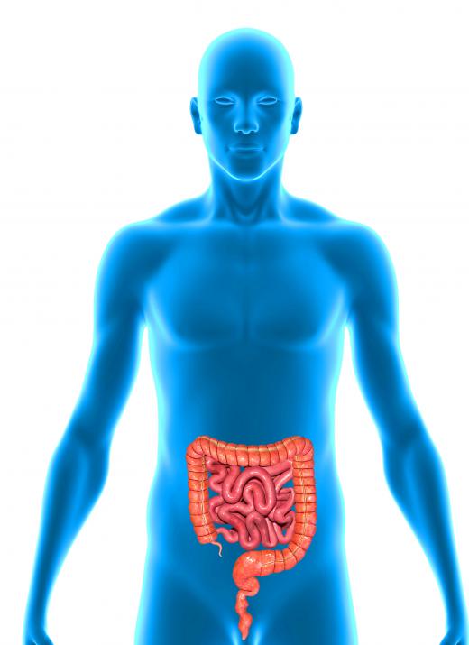 Dehydration of the intestinal tract can often cause constipation.