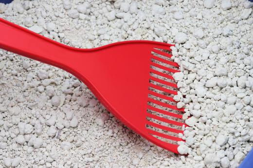 Using kitty litter on steps when sleet is falling helps prevent people from falling on the slick surface.