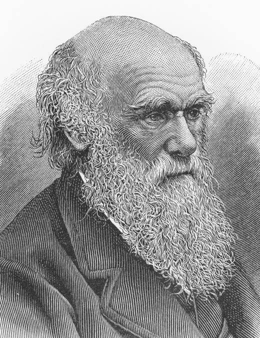 Charles Darwin, one of the first evolutionary theorists.