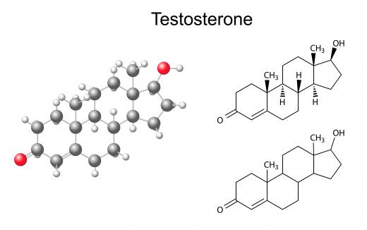 Aromatization occurs to convert testosterone into estrogen.