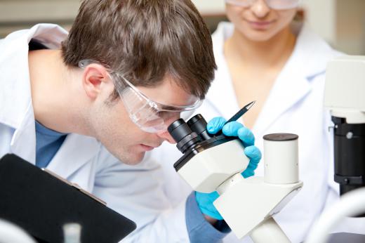 Nutitional biochemists often work in the laboratory.