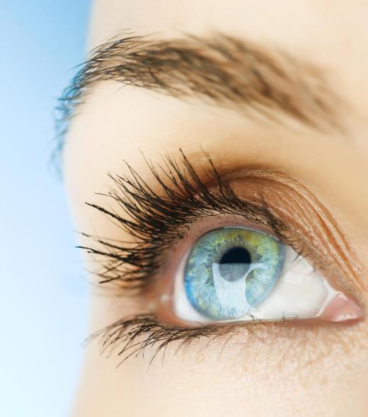 Eye contact to formalin may cause damage to the cornea.