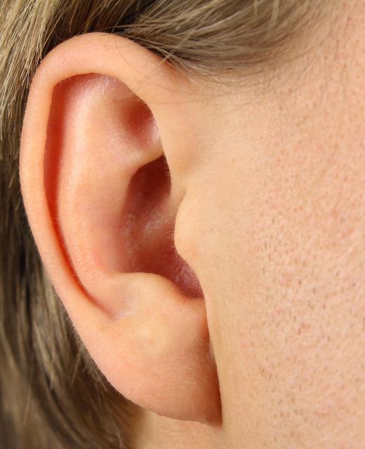 Human ears cannot detect ultrasonic waves.