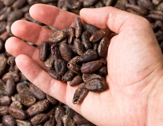 If cocoa beans have too much moisture they will grow mold in the package during transport.