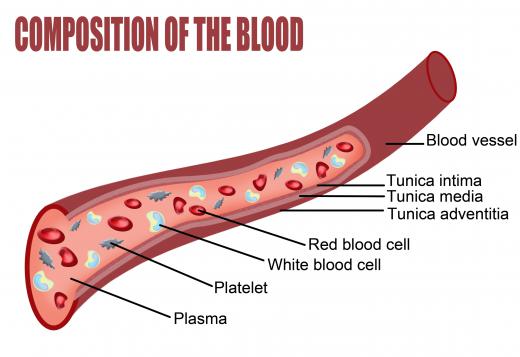 A blood composition diagram, including platelet cells.