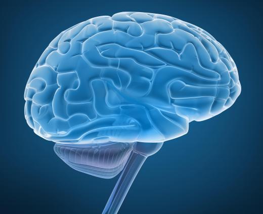 The human brain is estimated to have a processing power between 100 trillion and 100,000 trillion operations per second.