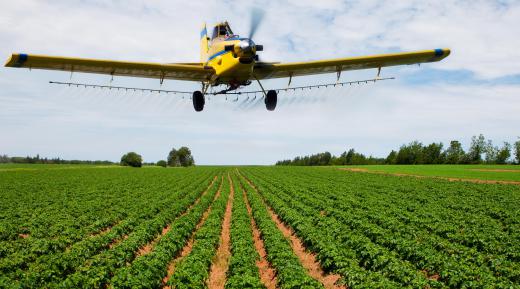 Engineers typically design crop dusters with straight wings because they provide high manueverability at low speeds and altitudes.