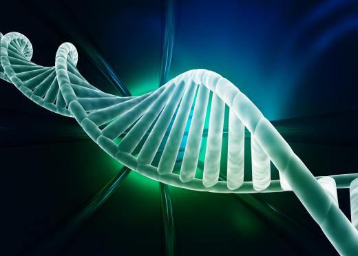 DNA forms a twisted double-helix that is comprised of about 3 billion pars of nucleotides.