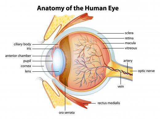 Hypromellose is used in some eye surgeries.