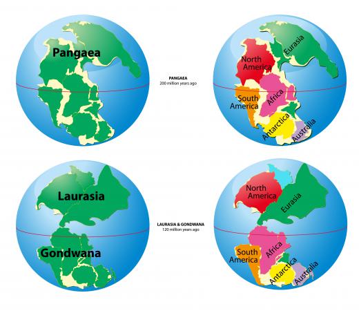 A map of Pangaea, the giant continent that existed during the Triassic period.