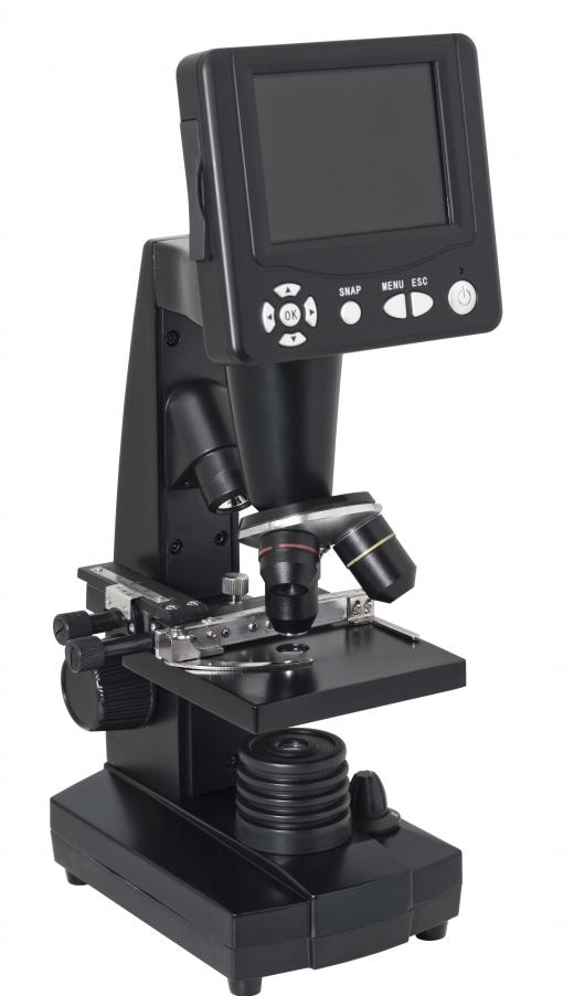Integrated digital microscopes are fitted with a monitor instead of an eyepiece for viewing specimens.