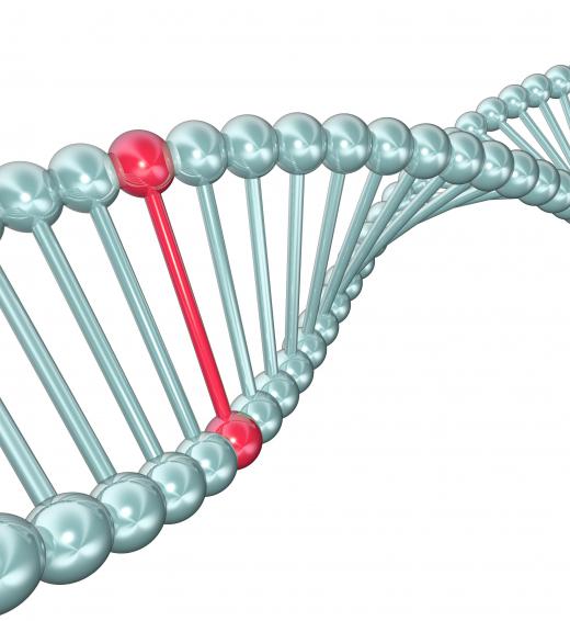 A nonsense mutation involves a single base in the DNA strand.