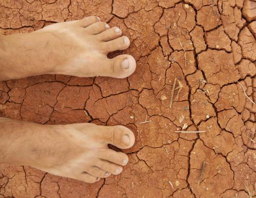 Earth scientists might study the causes and impacts of droughts.