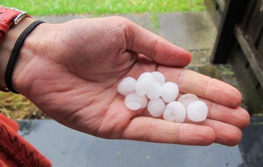 Handful of hailstones.
