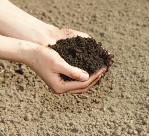 Natural soil erosion, also referred to as background or geological erosion, has played an important role in soil formation for at least 450 million years.