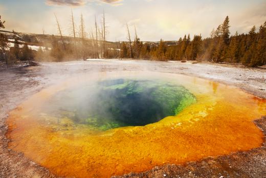 Hot spring showing coloration due to chemosynthetic microbes.