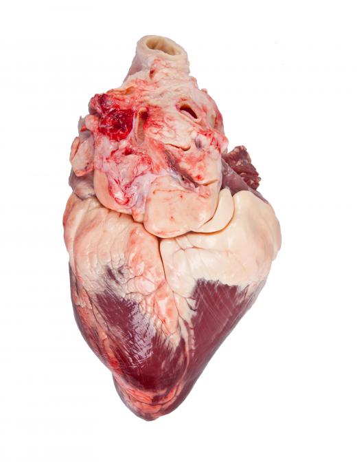 Nitrates are commonly used to treat certain heart conditions.