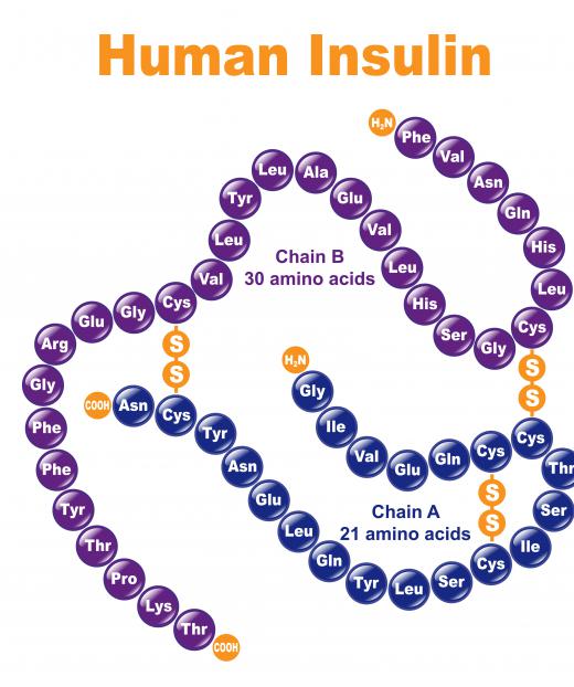 One example of protein engineering is the development of modified insulin.