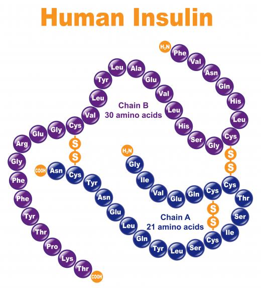 One of the first uses of transgenesis was to make E.Coli bacteria produce human insulin.