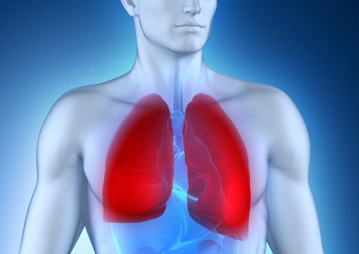 Inhaling silica powders may result in lung inflammation.