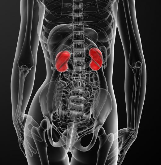 Long-term exposure to low concentrations of trichloromethane may have adverse effects on the kidneys.