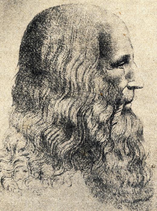 Leonardo da Vinci made notable contributions to the study of fluid mechanics.
