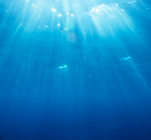 Around 90% of ocean life may be found in the photic zone.