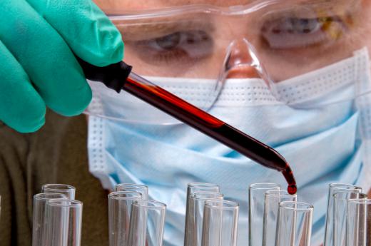 A forensic pathologist may collect and analyze blood samples.