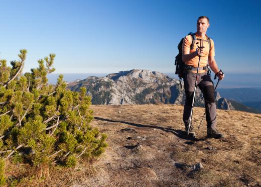 Hikers, when climbing up to higher altitudes, will find temperatures drop and the air becomes drier.