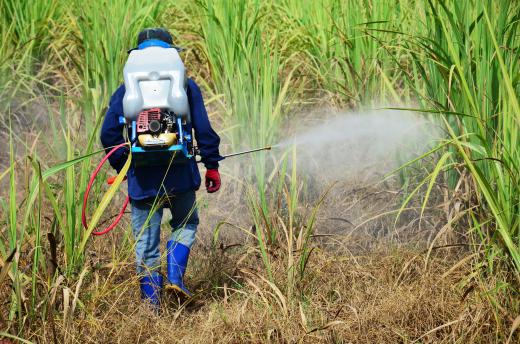 Arsenic may be found in some herbicides and insecticides.