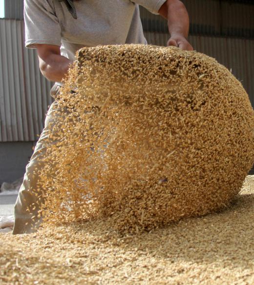 Carbamide can be used to add protein to livestock feed.