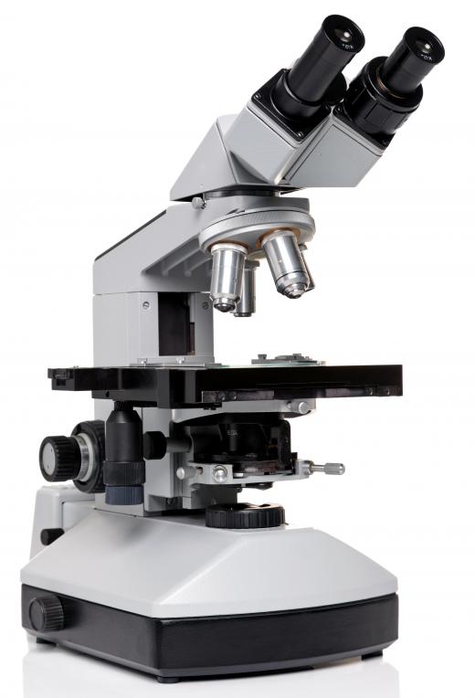 A binocular microscope features two eyepieces instead of one.