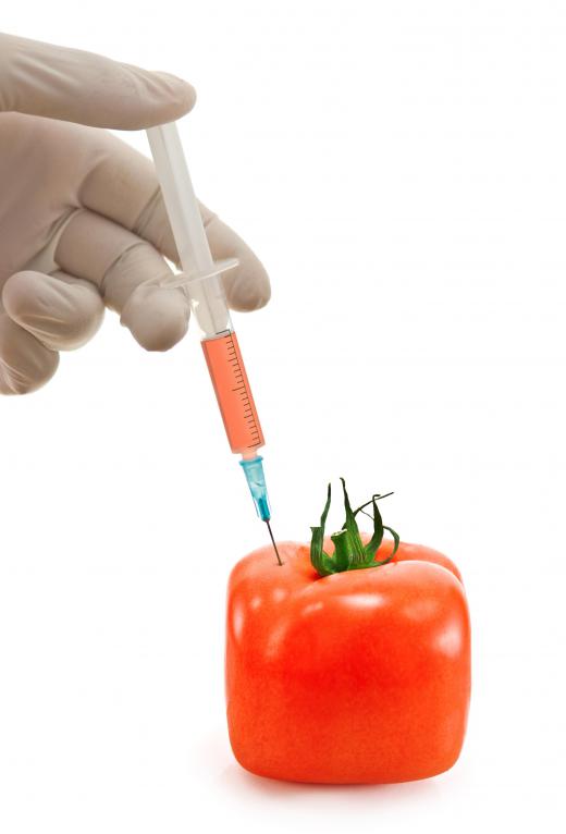 Fruits and vegetables are often bioengineered.