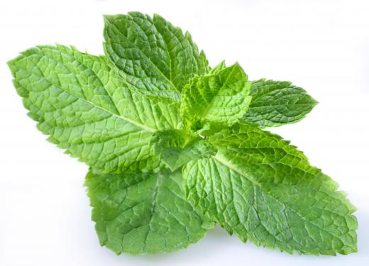 Peppermint is a natural source of menthol.