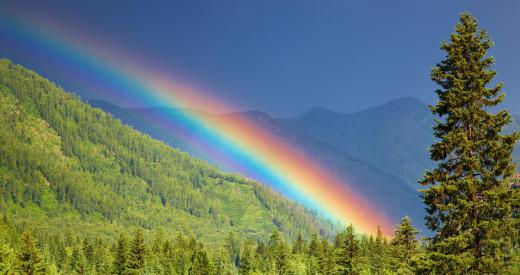 Rainbows contain the colors of the visible spectrum.