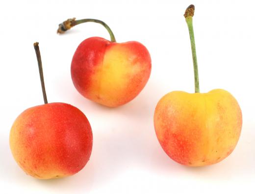 Cherry pits contain a small amount of prussic acid.