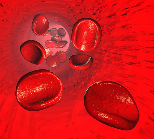 Iron is an important component of the hemoglobin molecule present in red blood cells.