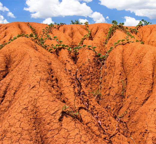 Soil structure helps determine whether a piece of land can support animal or plant life.