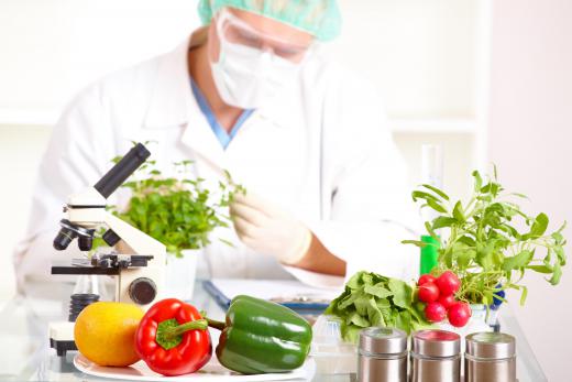 Food scientists may work to determine the contents and nutritional value of certain foods.