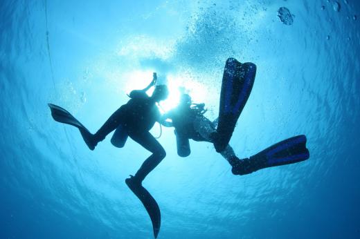 Divers can experience "the bends" if they ascend from a dive too quickly.