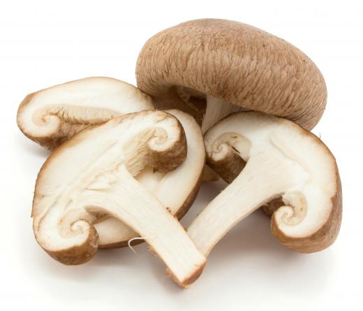 Shiitake mushrooms, the fungi species Lentinula edodes.