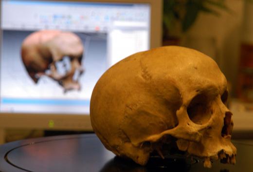 Modern archaeologists use computers to research, track and reconstruct their finds.