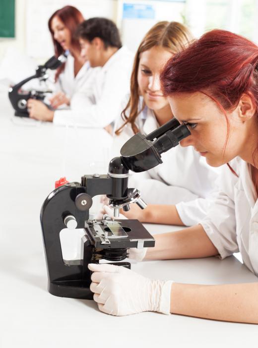 University ecology labs are used for both research and to teach students the proper lab procedures.