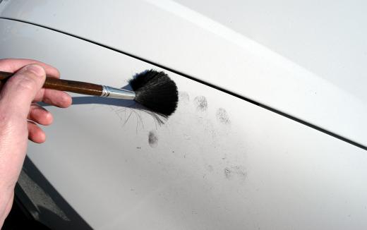 Taking latent fingerprints from a car.
