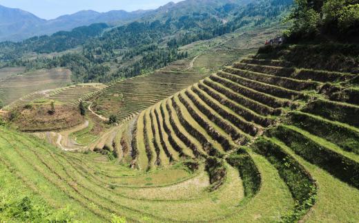 In mountainous terrain, terrace farming helps prevent soil erosion.
