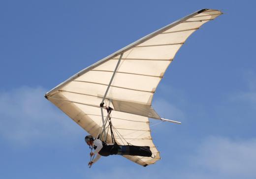 A hang glider stays airborne because its wings have a wide surface area, which collides with more air molecules and creates greater wind resistance.