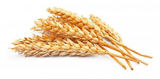 Whole grains are a good source of dietary zinc.